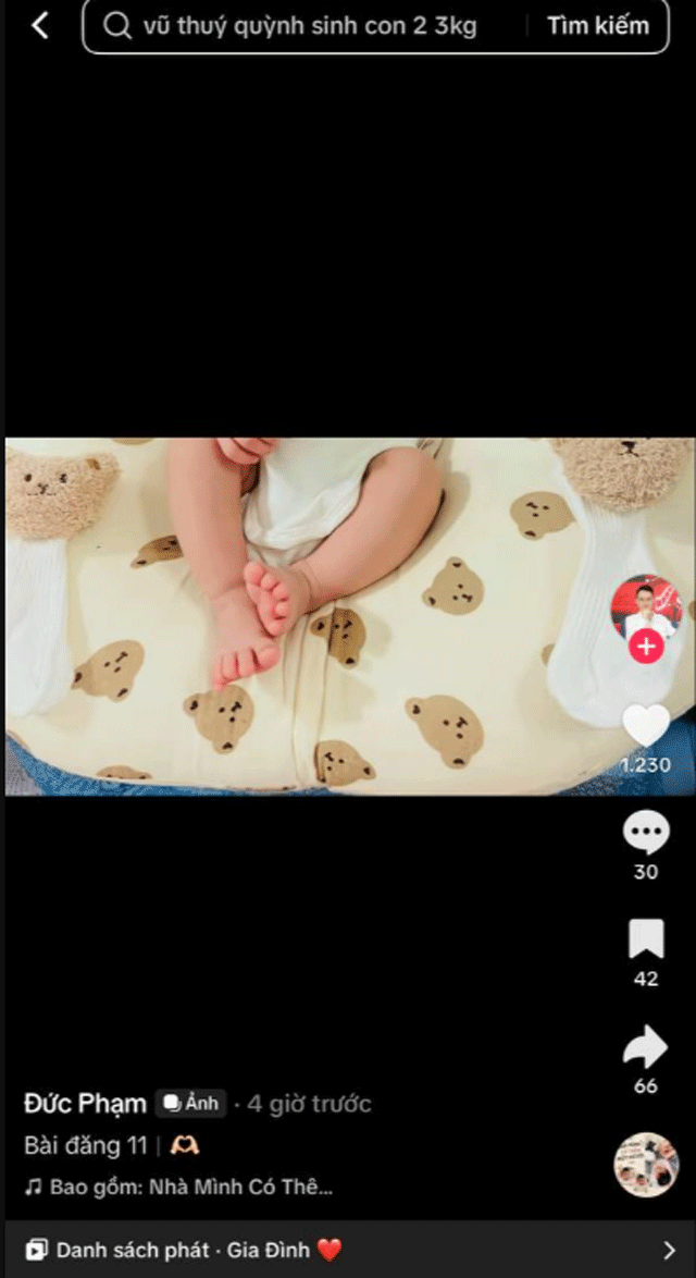 149395e9a0e8f99ded08.png
