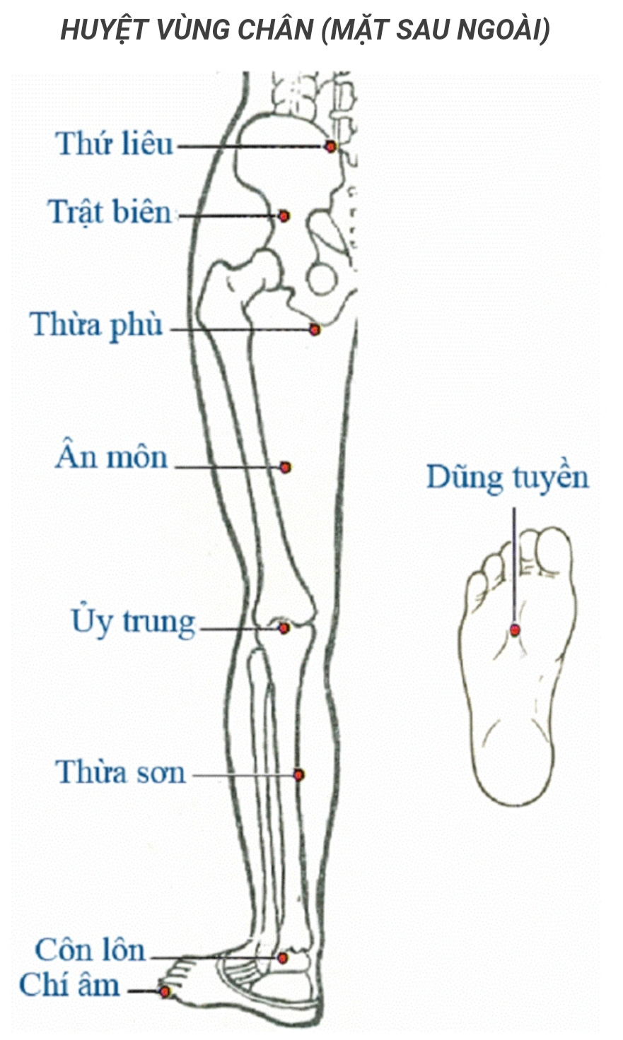 1495e7b482397ae56a6d.jpg