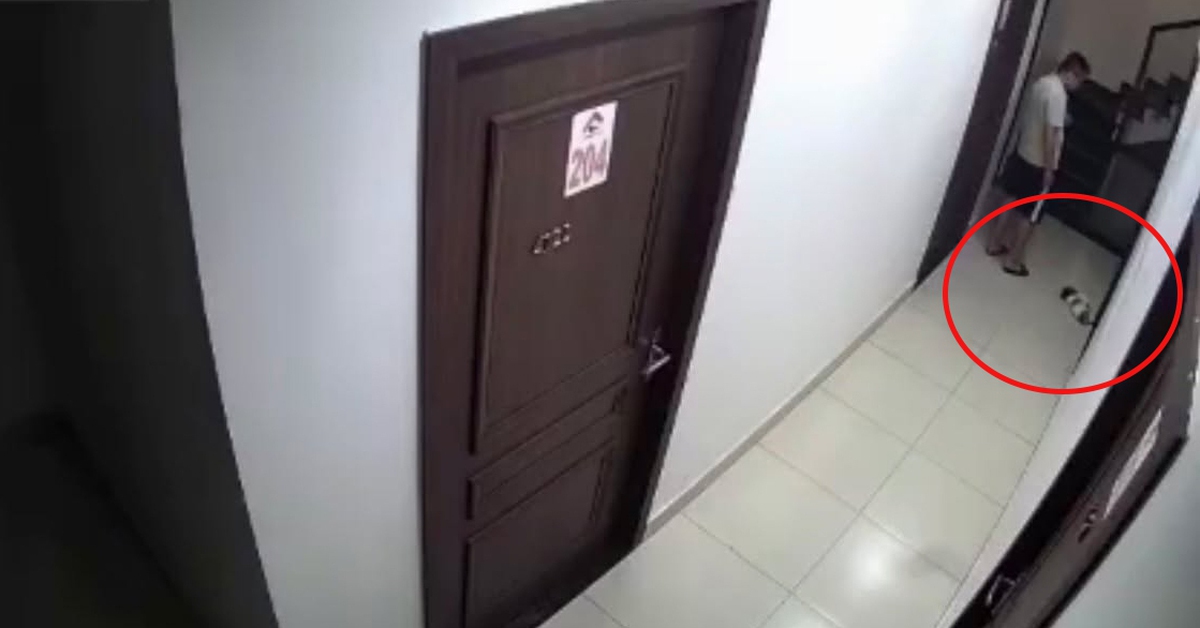 14b31b80f5c5aabef39e.jpg