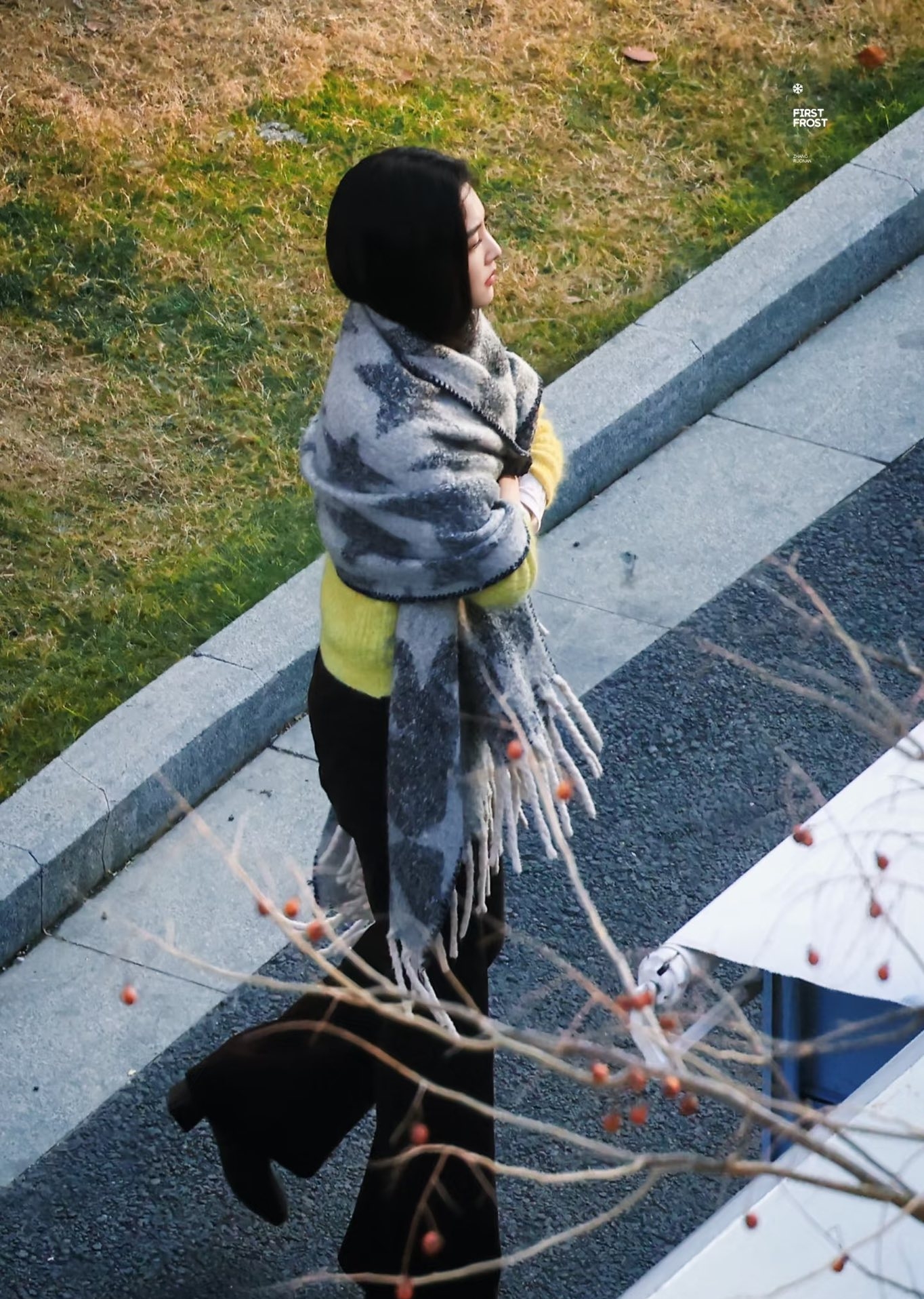 14c50a1fe830a8a54fff.jpg