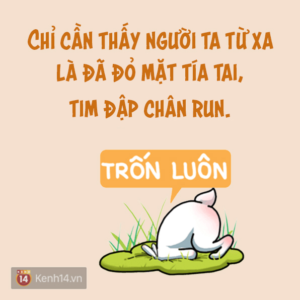14dce8913d69a9d040d5.jpg