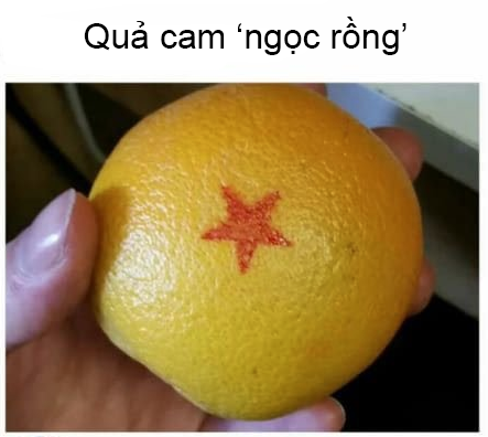 14f1e9f7d029b5afa01f.png