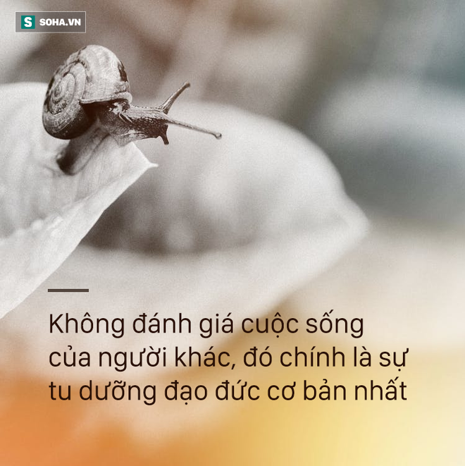 151ac050267c58296e8c.png
