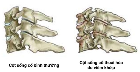 151b538f6febc13d54f2.jpg