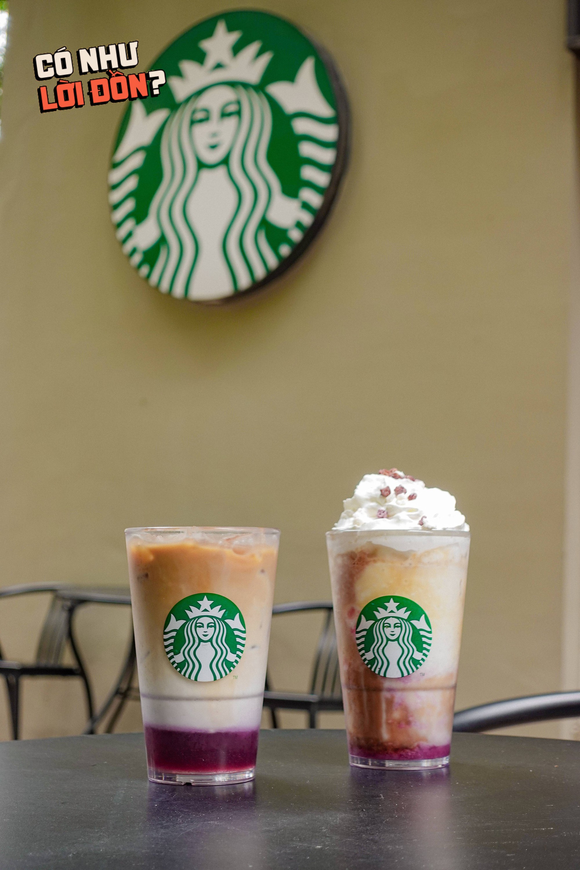 151ed93db3e6f32a9cb3.jpg