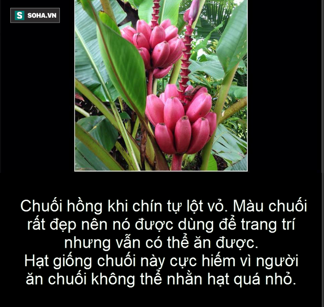 155fd7c71ccccea1a090.png