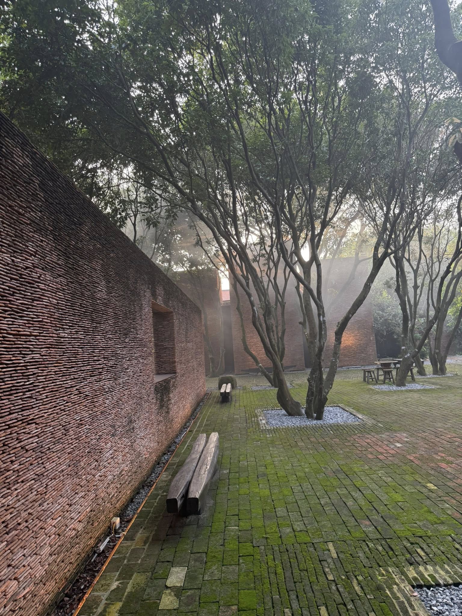 156c5e2893599282e263.jpg