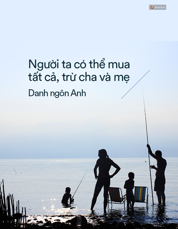 157ab9c9221abff43c6b.jpg