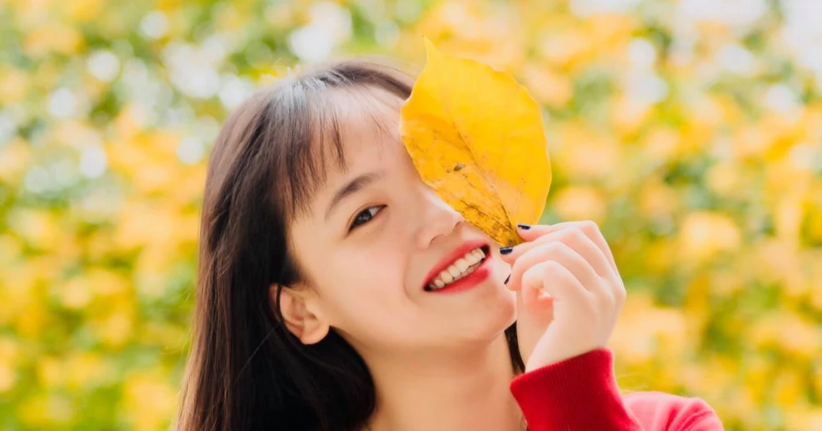 157c0e865ff4a89ee060.webp