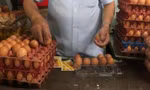 15aaf3e7efcca695480d.jpg