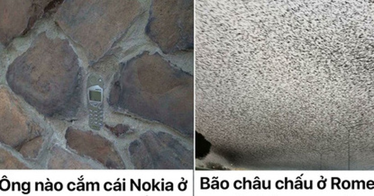 15b1cc7de437565cd0c2.jpg