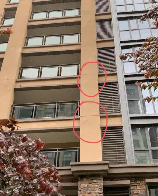 15f3466697d3596568f3.png