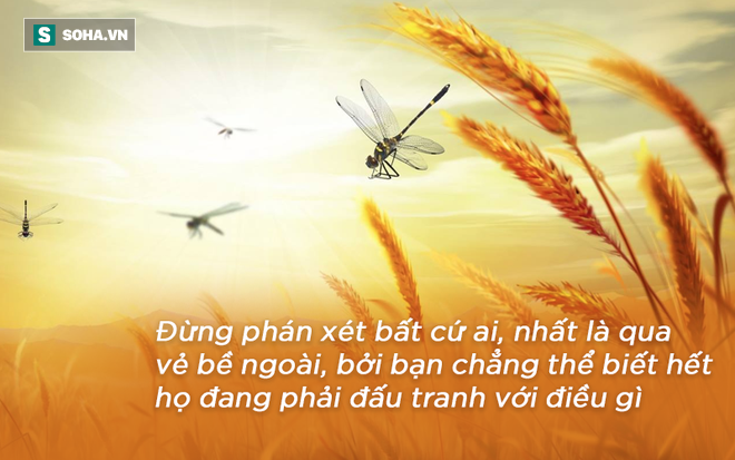 16104d7eabeed9fa192f.png