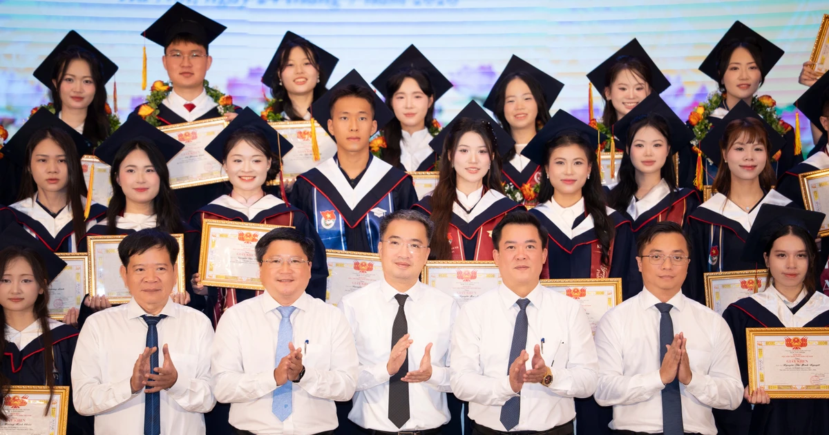 16c9ec46308d6dc7ec04.webp