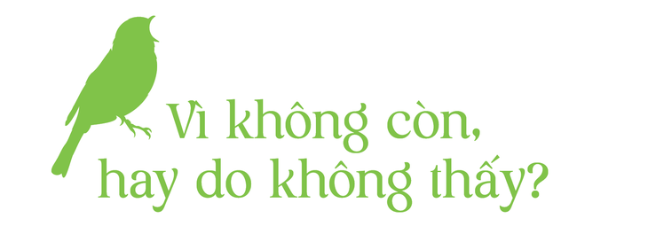 16cb34b3e89cf6183f11.png