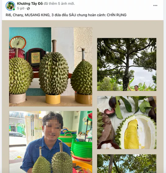 16f8c3efe366169f173b.png