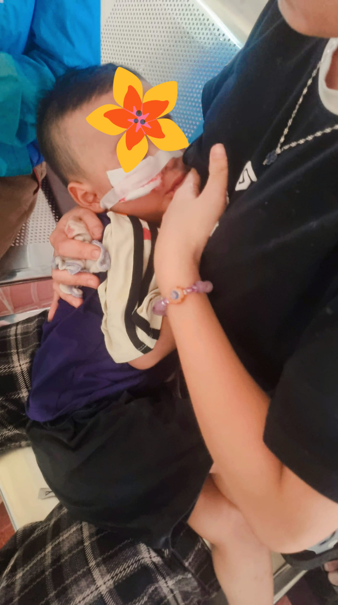17040ffc19d700e2de19.jpg