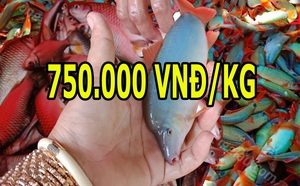 170e5d768baf0d71821a.jpg