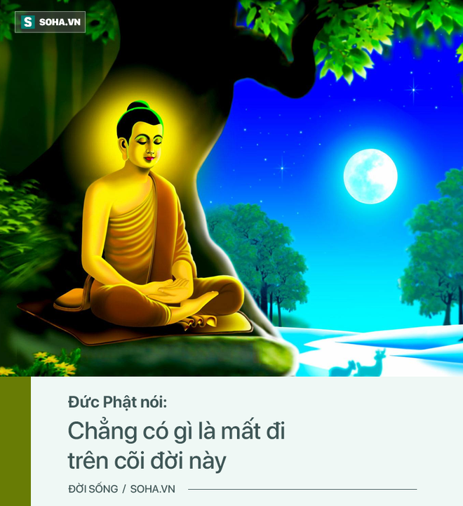 175517554e093b4c1deb.png