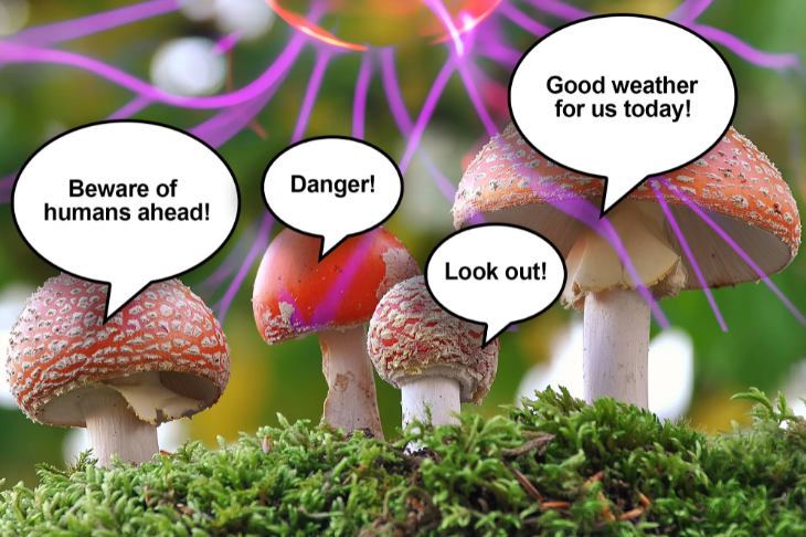 176139c69aea2bf65df5.png