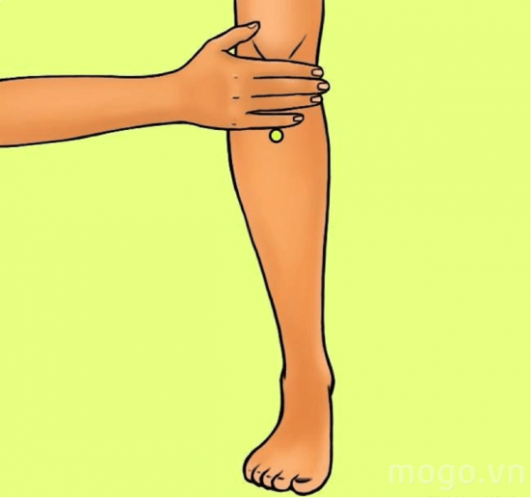 1762a9c37b43f6e18244.png