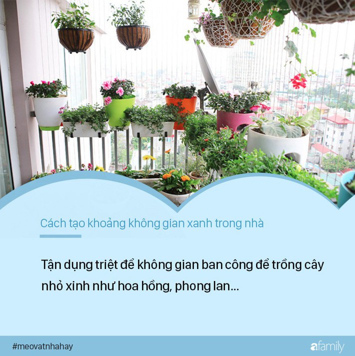 17ba1fdfc687b90fe265.jpg
