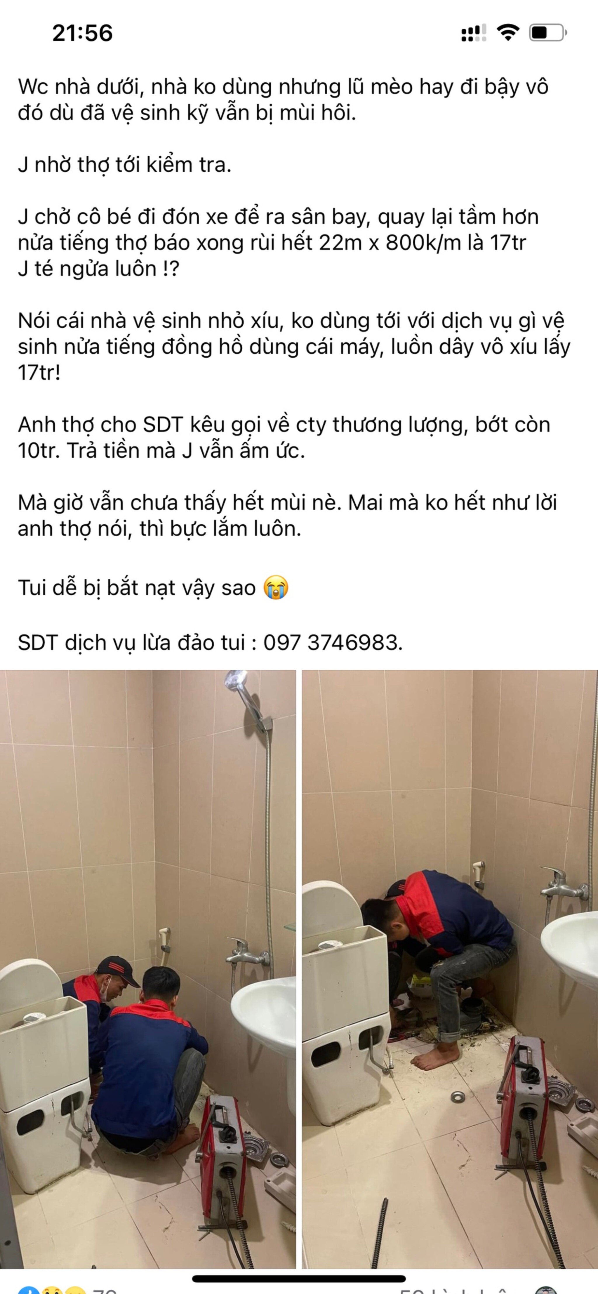 17c86ff337c6e65731f6.jpg