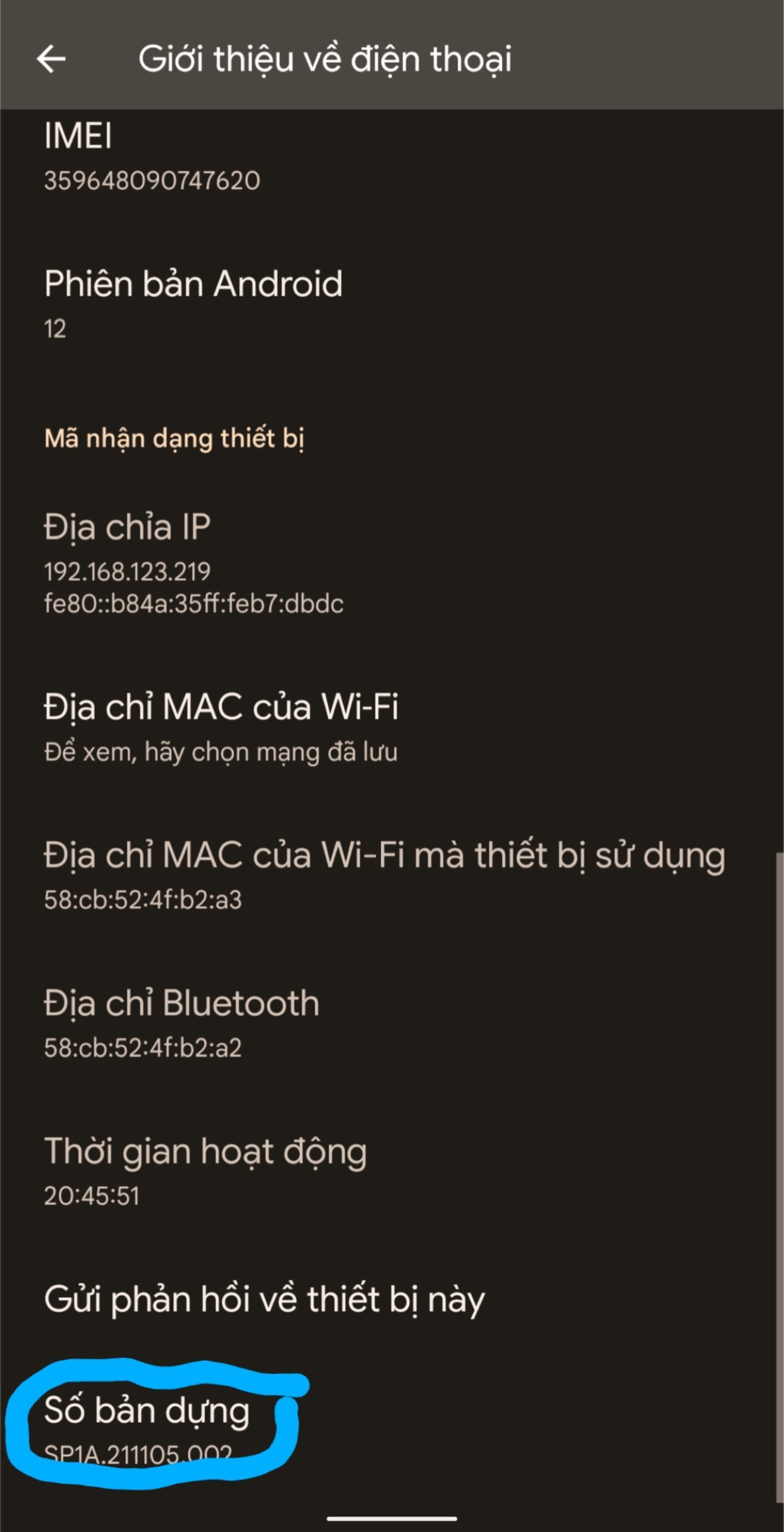 17cac393c6aa9d7a9df0.jpg