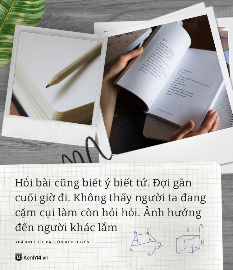 17e3c9ef7da45a1b9c0a.jpg