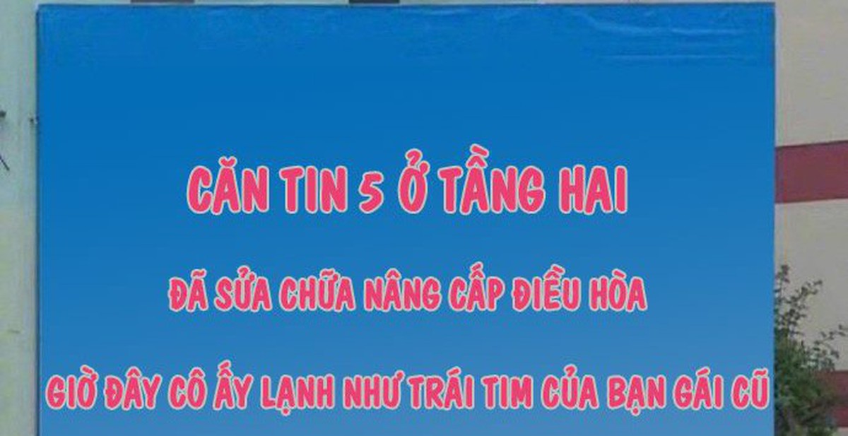 17e484ab0fe59c8f11aa.jpg