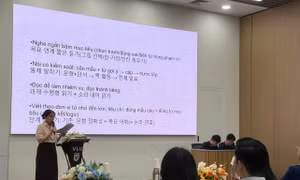 181dc915cef2757310b0.jpg