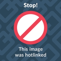 183c568fdb6d316b3285.jpg
