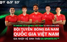 18551389bab9886d10de.jpg