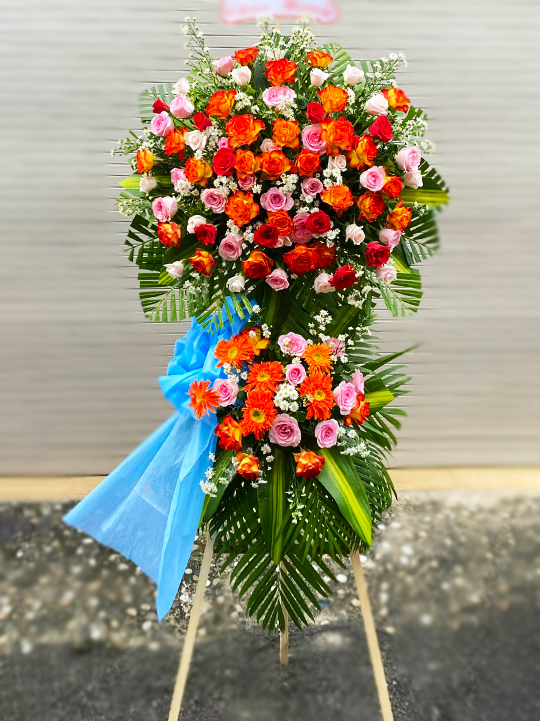 188feca686fd96910310.jpg