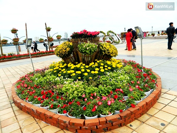 18a8dd2e3cc07320ab93.jpg