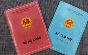 18d9ae53a948807f2fff.jpg