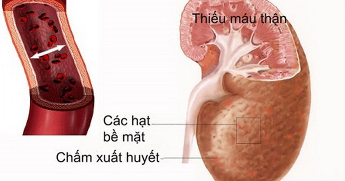 193d801673e64315fabf.jpg