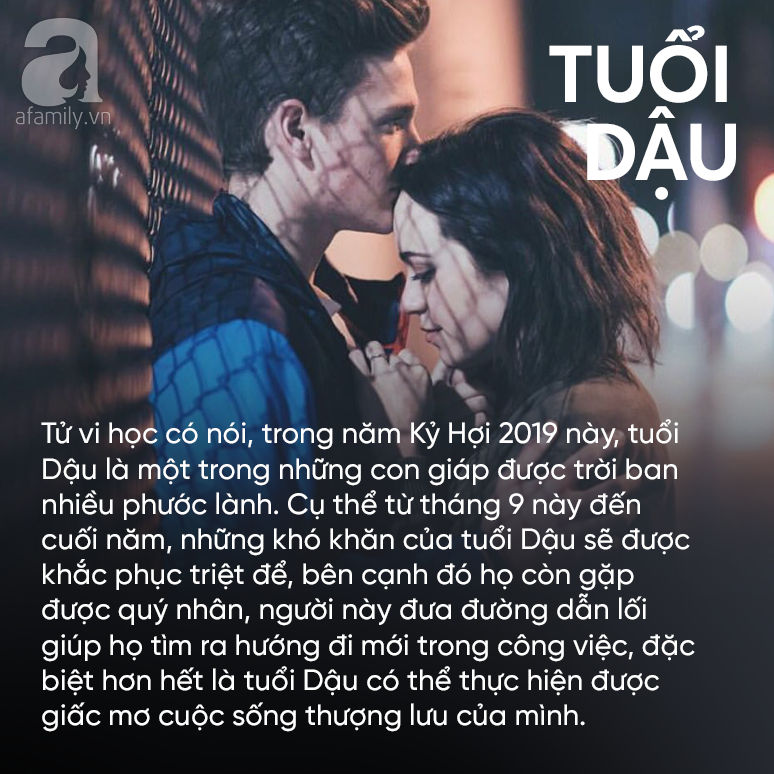 194cb2eefd935d6dea69.png