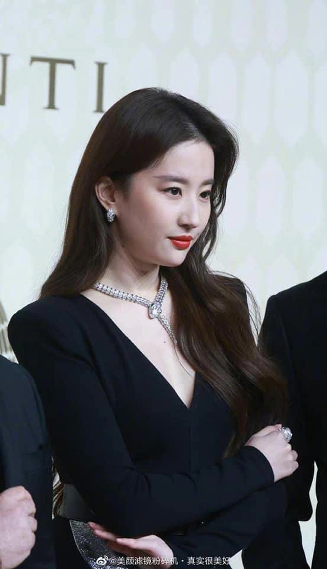 195dae0b6b46330387a0.jpg
