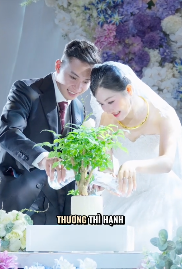 19a8cb255681a35b46a6.png