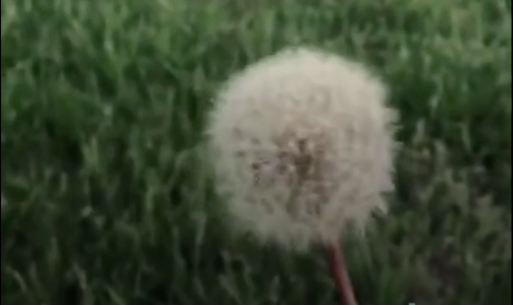19b9f54e25b7012b1631.png