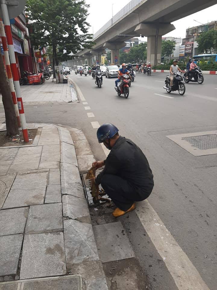 19c89faca65caba021a3.jpg