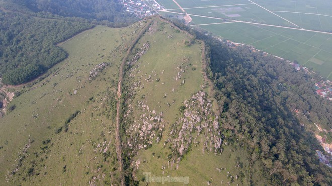 19d577764048e1ca0779.jpg