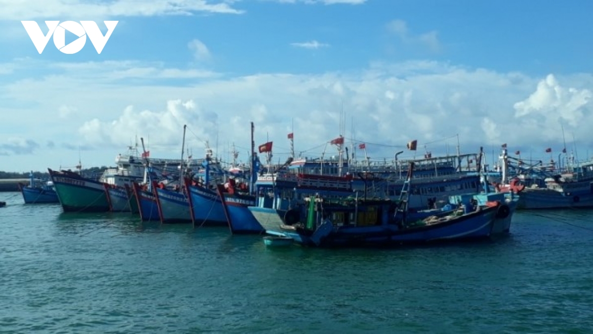 19dc0825706e45667324.jpg