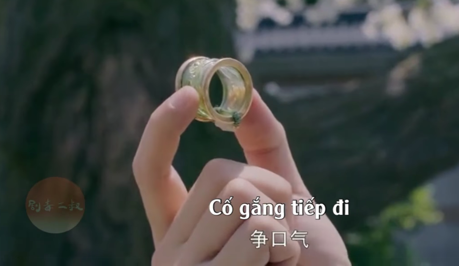 1a07e4d1a621048e74df.png