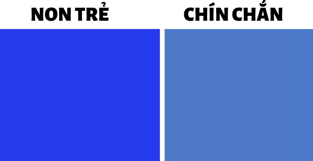 1a13e73fb6eaba80dcae.png