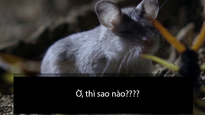 1a62b09db2af3deaa2d5.jpg