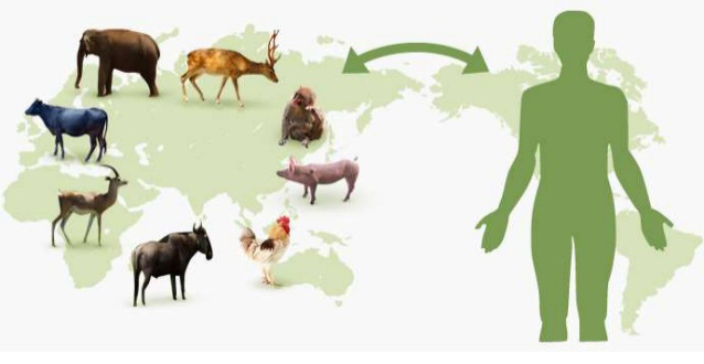 1a6f23eac25bc387d930.jpg