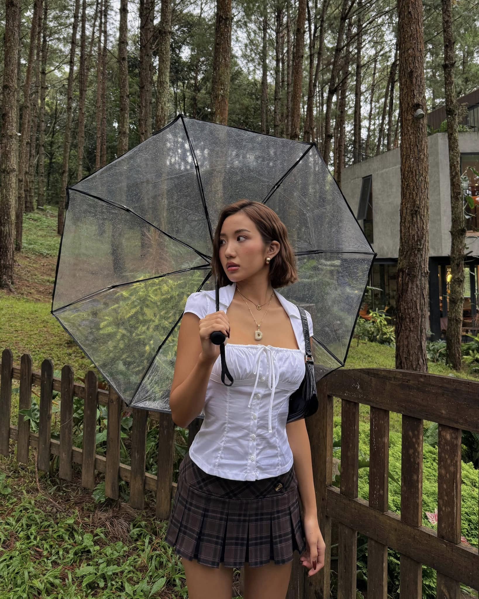 1a7acb5eef5056ac465a.jpg