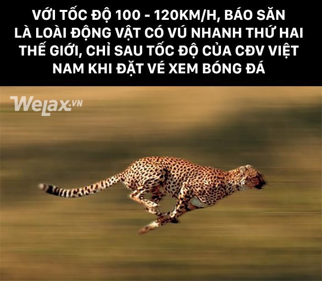1b0c913439de70607faf.jpg